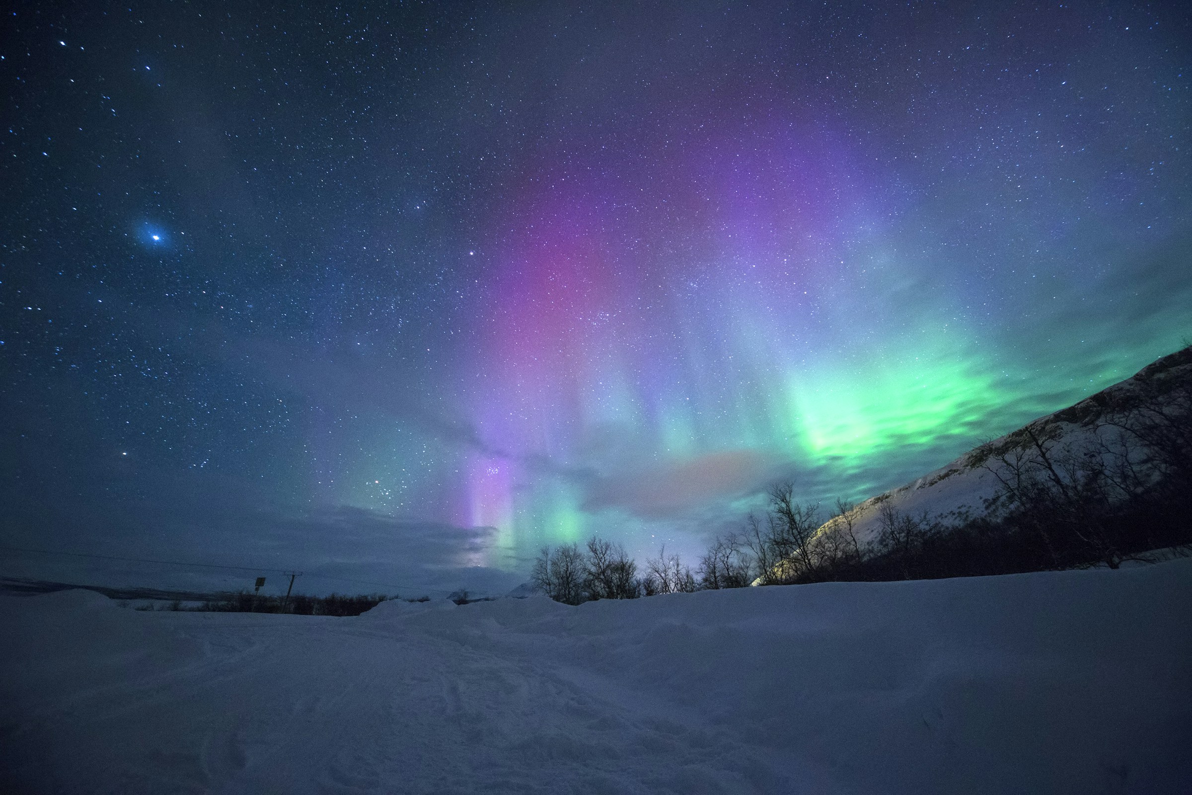 Lofoten