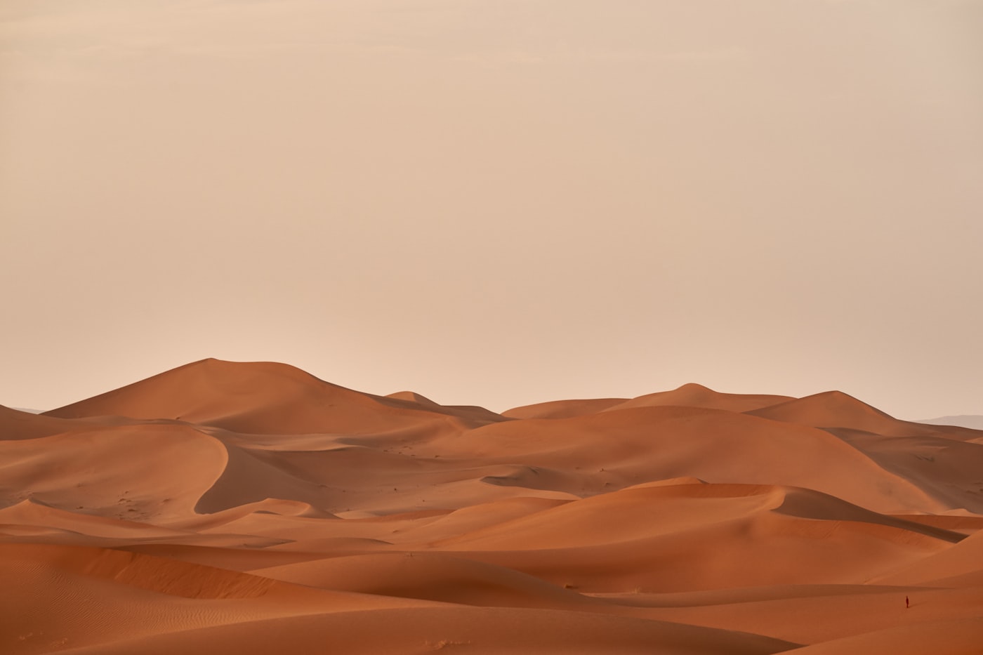 Sahara