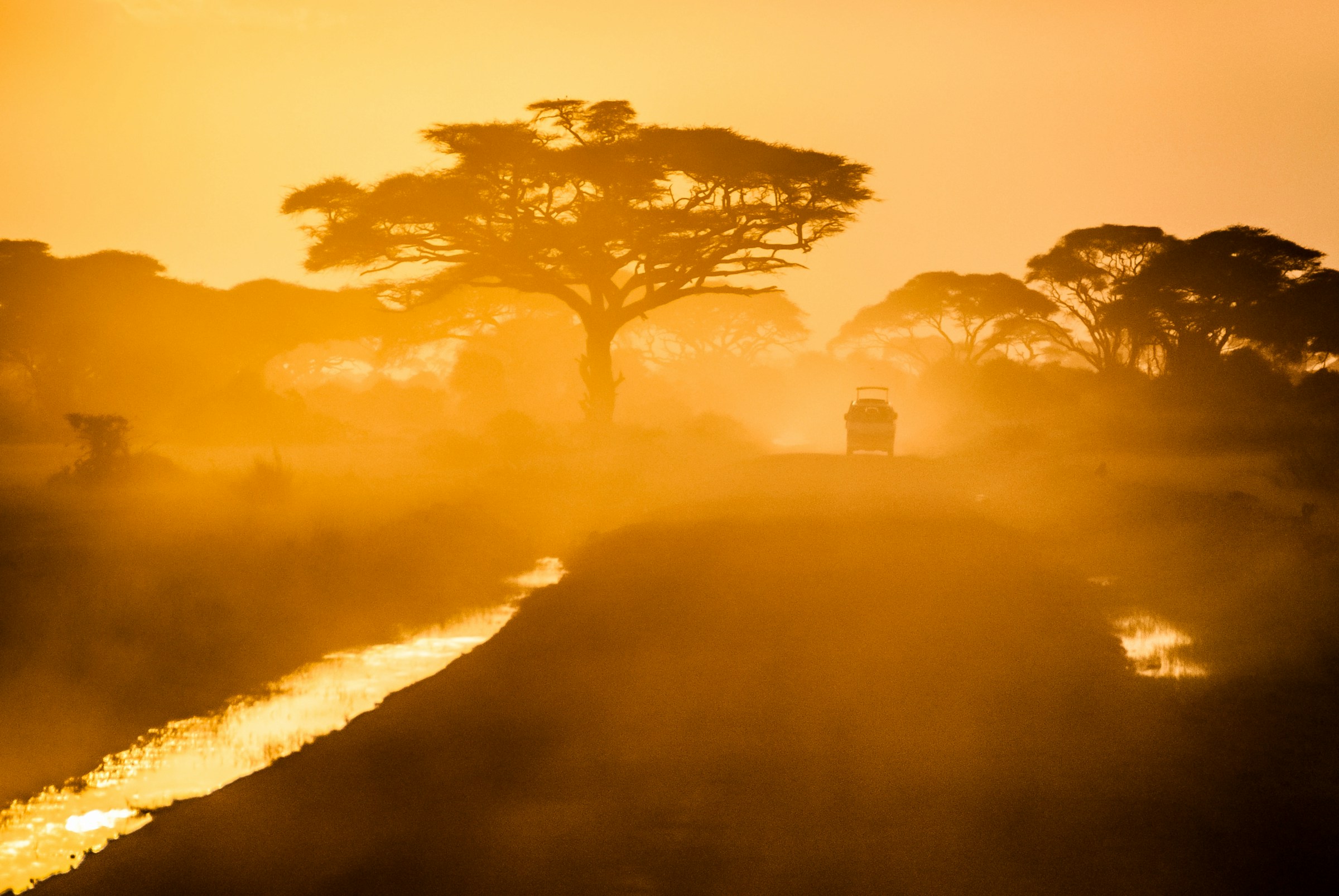 Sahara