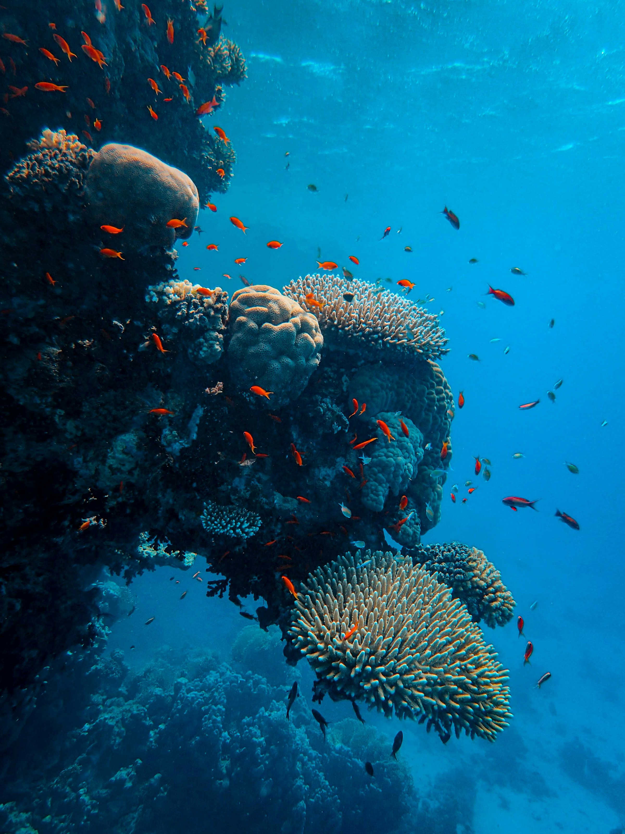 Great Barrier Reef Short Break — photo 1