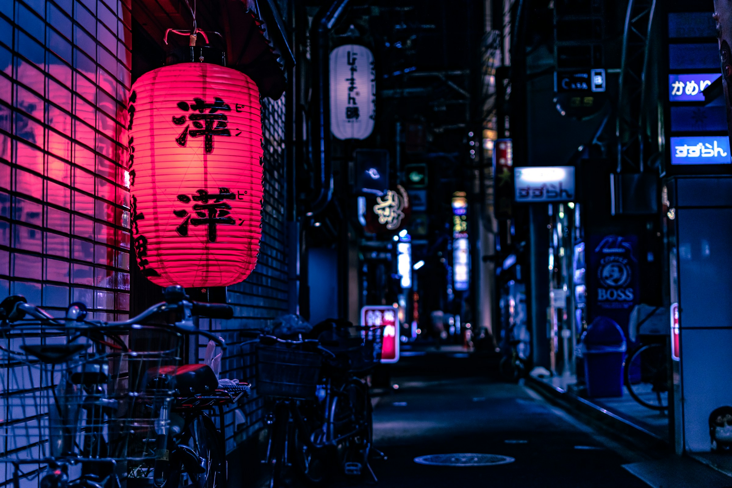 Japan Classic — Tokyo & Kyoto — photo 3