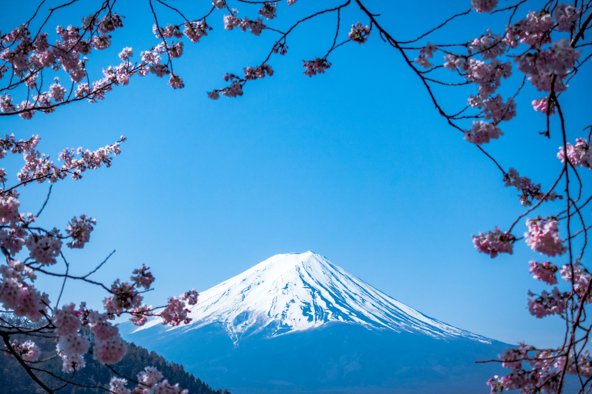 Japan Classic — Tokyo & Kyoto — photo 4